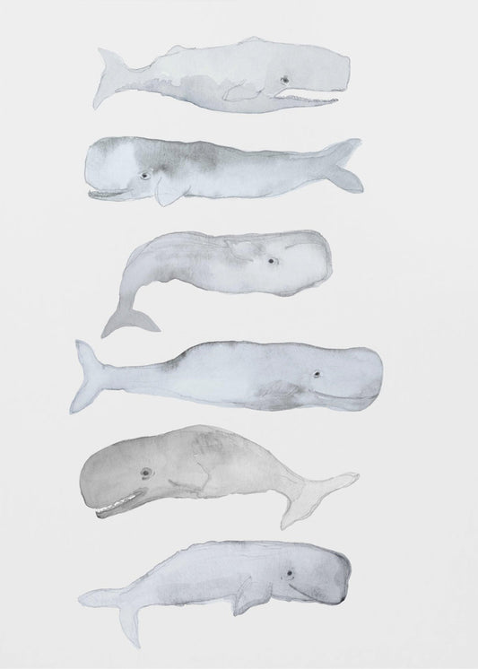 Whale Art | Poster