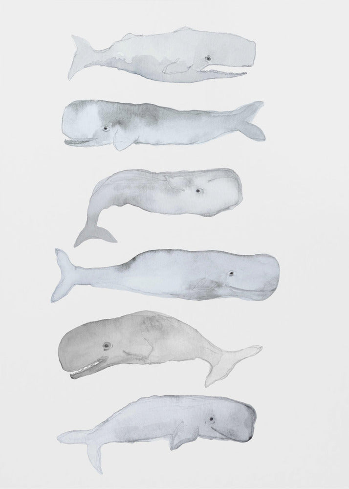 Whale Art | Canvas