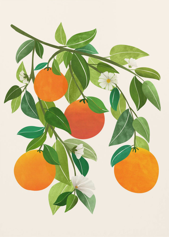 Oranges and Blossoms Ii | Poster