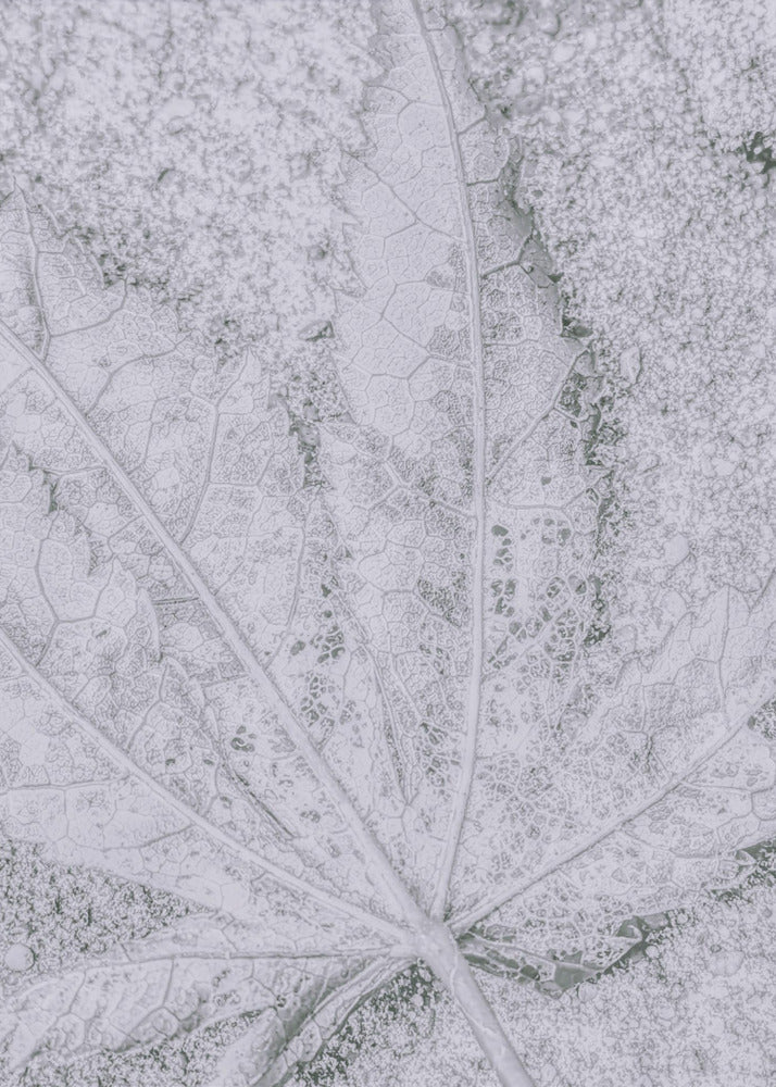 Return to Earth | Poster