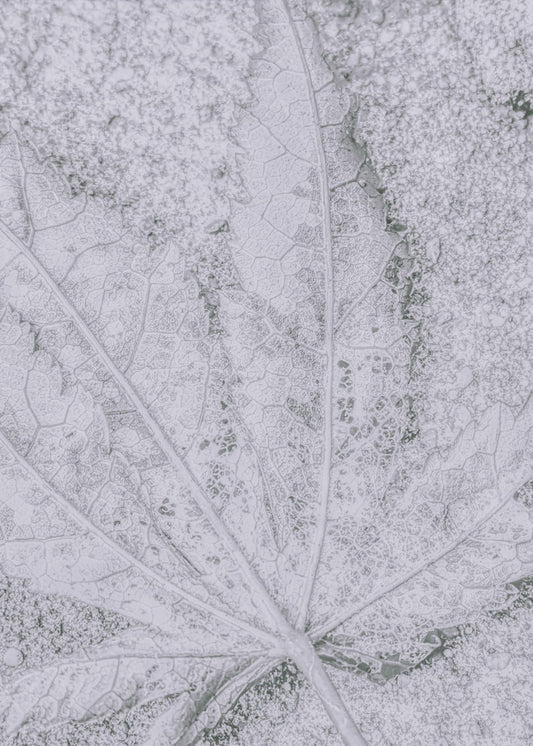 Return to Earth | Poster