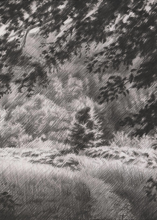 Duivelsberg - 25-12-23 | Poster