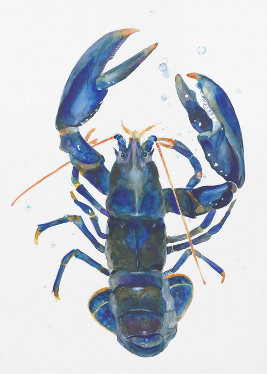 A Blue Lobster | Poster