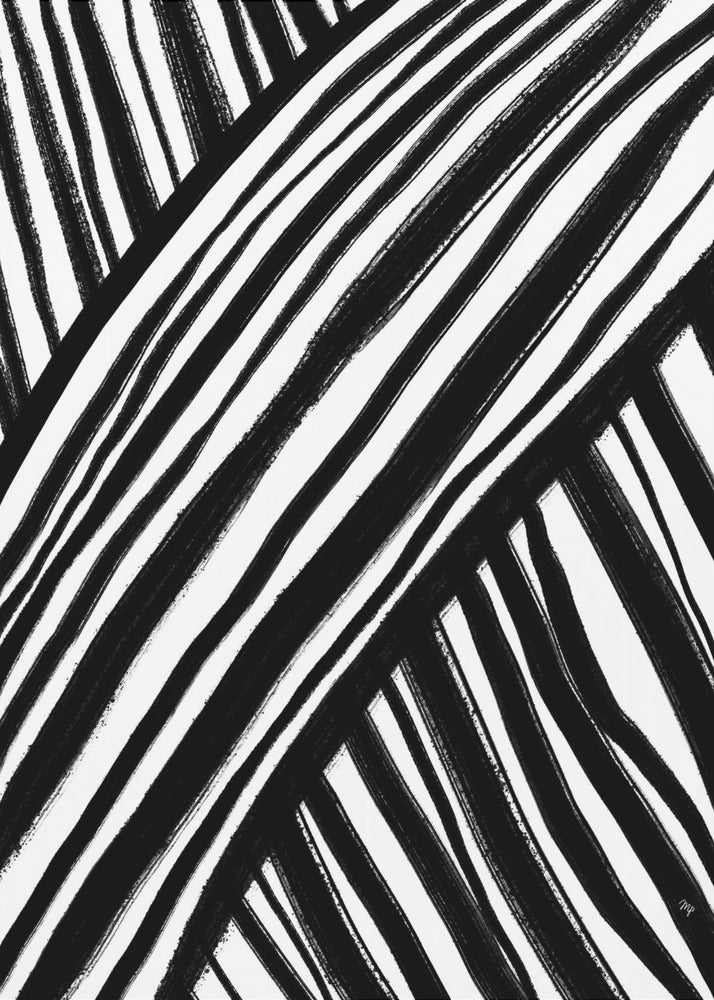 Zebra&#039;s Pathway | Canvas