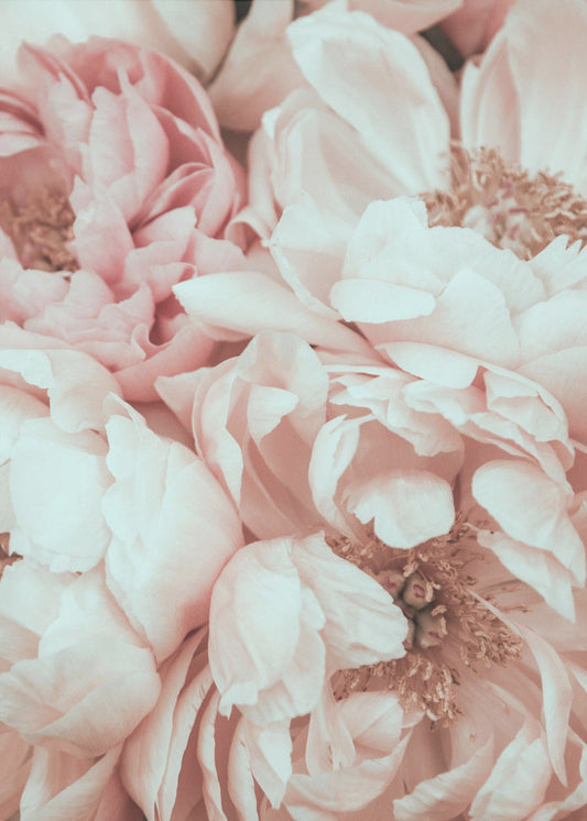 Blossom Mix | Poster