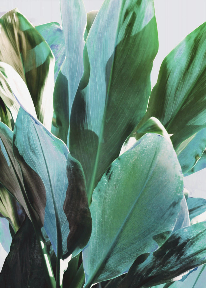 Green Leaves I | Poster