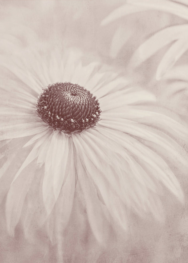 Reminiscence | Canvas