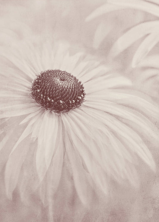 Reminiscence | Canvas