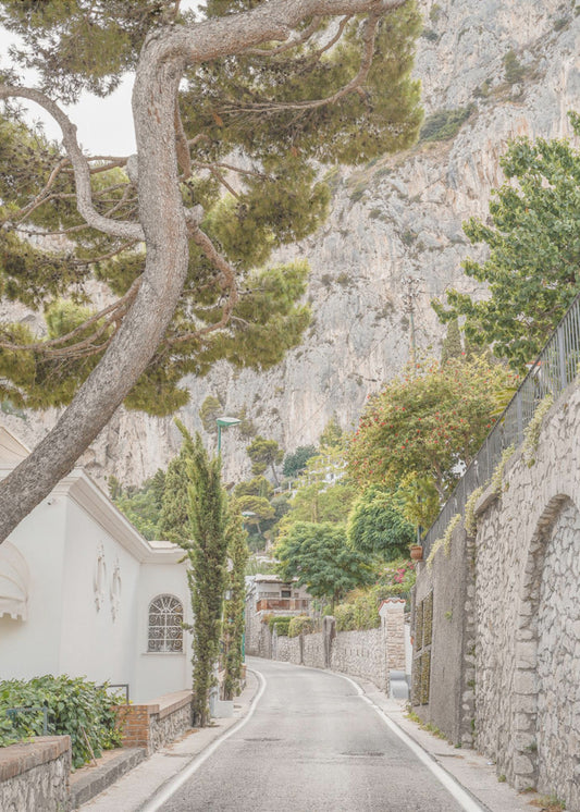 Streets of Capri | Poster