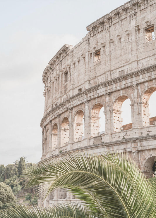 Colosseum | Canvas
