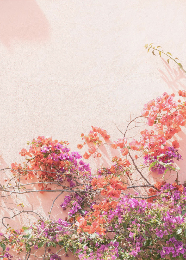 Pink Summer | Canvas