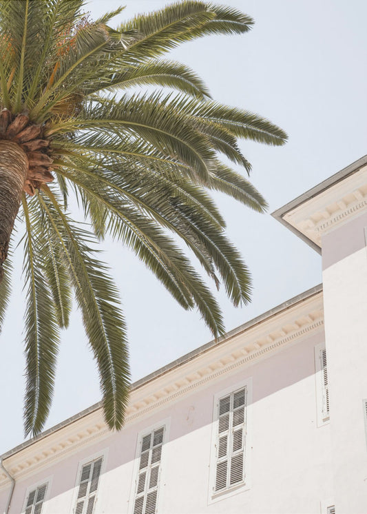 Tropical Menton | Poster