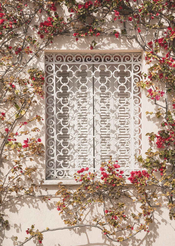 The Red Frame | Poster