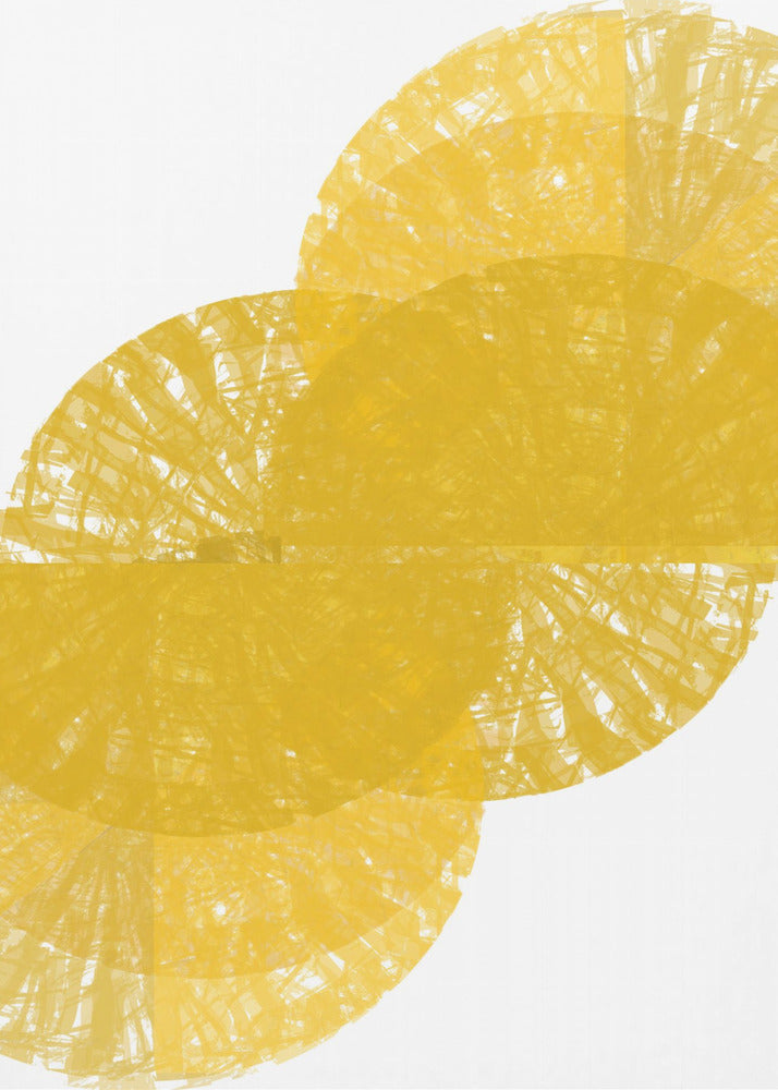 Yellow Circle Fans 1 | Canvas