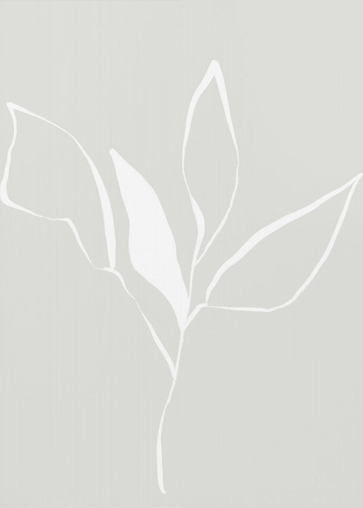 Whispers of Nature With Soft Flower | Poster