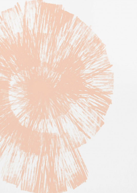 Peach Shell | Canvas