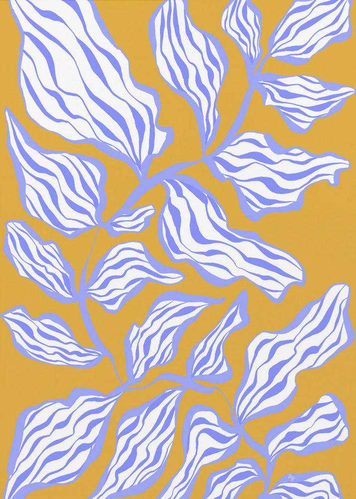 Morning Glory | Canvas