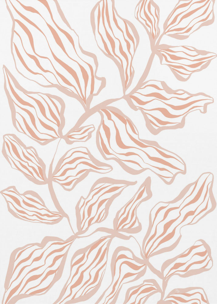 Coral Leaves On A White Background | Canvas