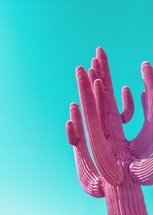 Magenta Pink Saguaro | Poster