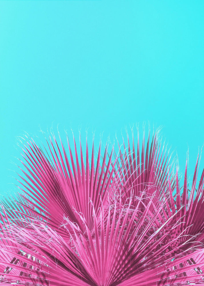 Electric Pink Palm Fronds | Poster