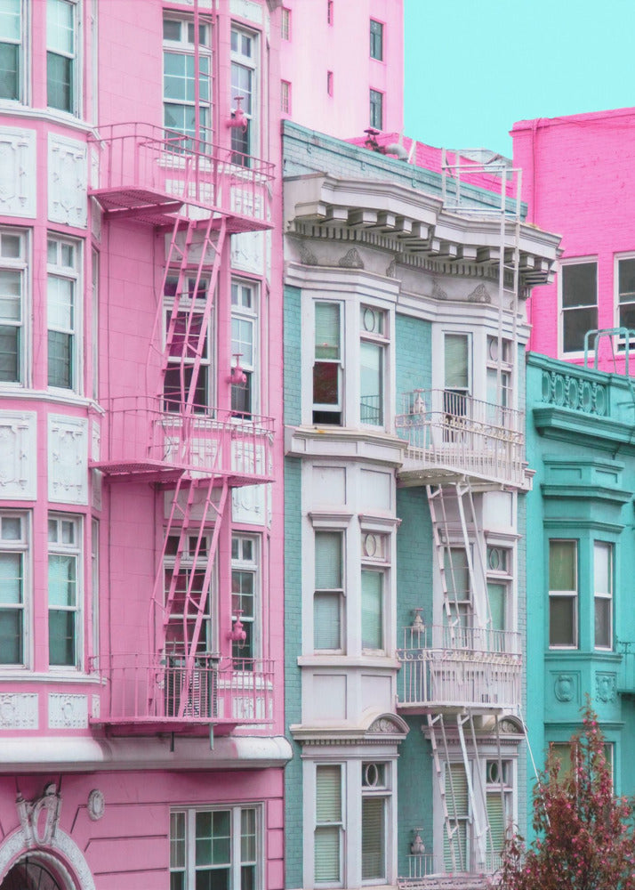 Pink and Blue Row Houses in San Francisco | Poster