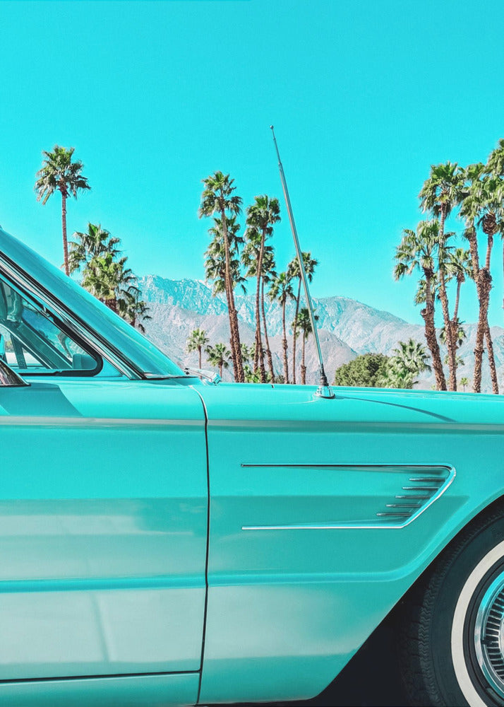 Teal Thunderbird in Palm Springs | Canvas