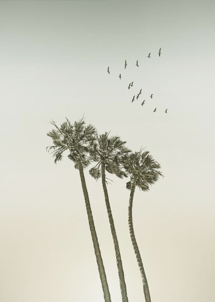 Vintage minimalist palm trees &amp; sunset | Poster
