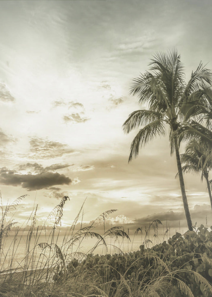 BONITA BEACH Vintage Sunset | Canvas
