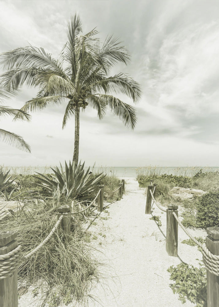 Vintage path to the beach | Canvas