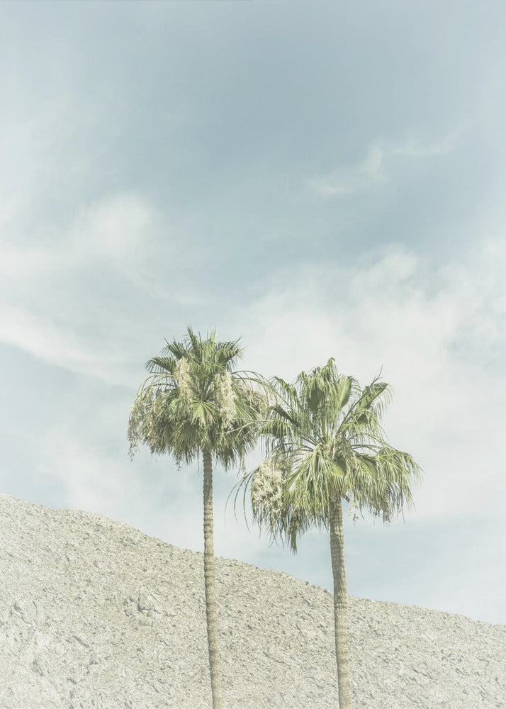 Vintage Palm Trees in the desert | Canvas