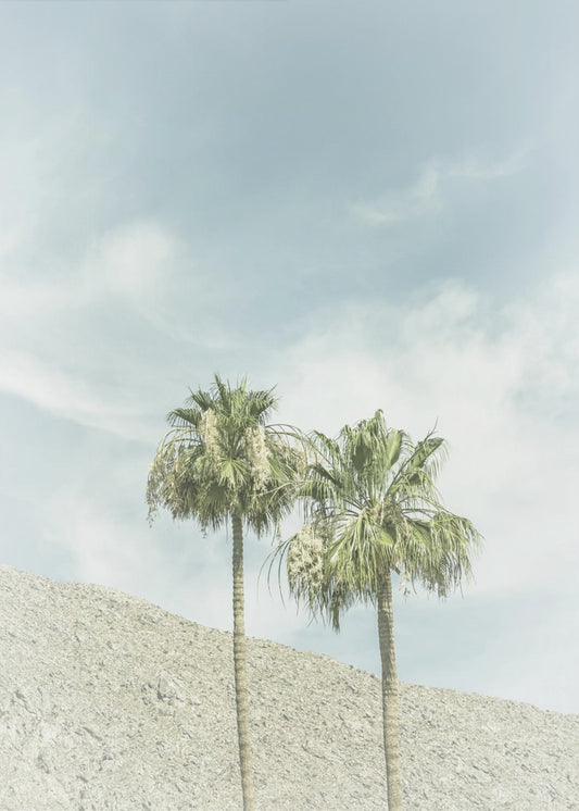 Vintage Palm Trees in the desert | Canvas