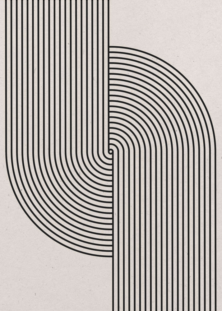 Curved Symmetry | Poster