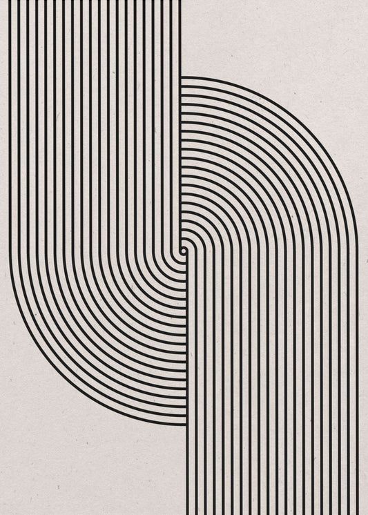 Curved Symmetry | Poster