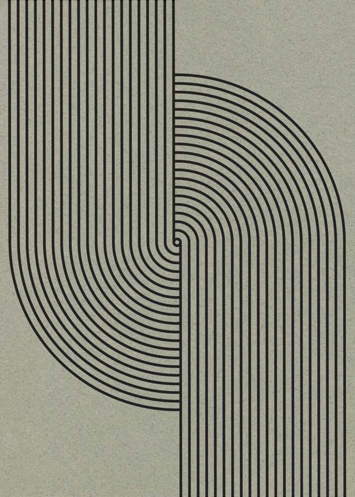 Curved Symmetry | Poster
