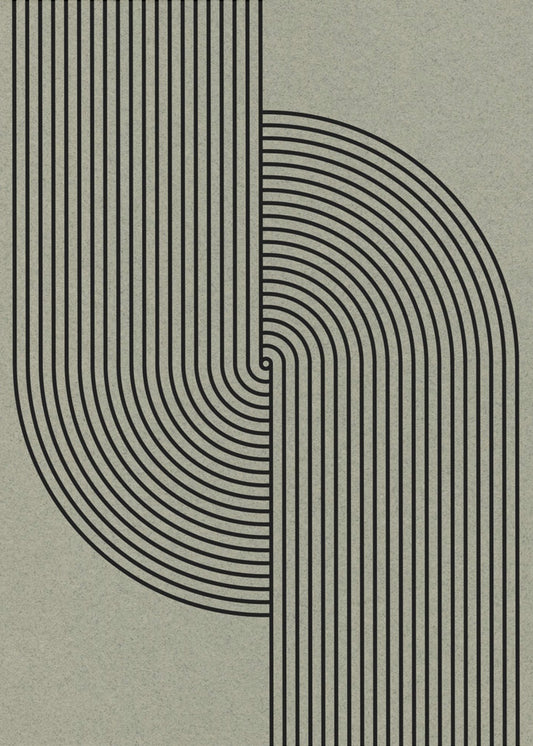 Curved Symmetry | Poster