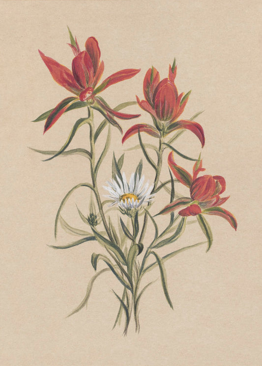 Indian Paintbrush (1883) | Canvas
