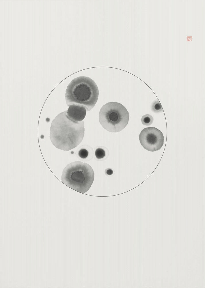 Petri Dish | Poster