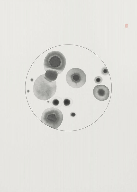 Petri Dish | Poster