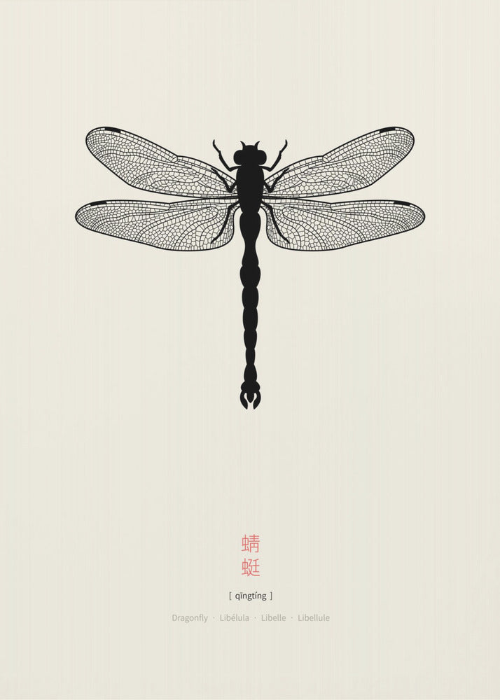Dragonfly | Canvas