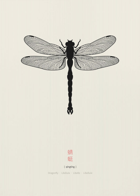 Dragonfly | Canvas