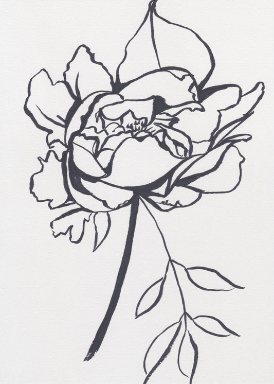 Black and White Peony Small | Canvas