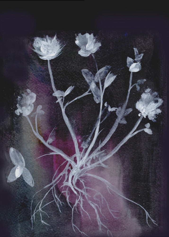 Secret Garden Ii | Poster