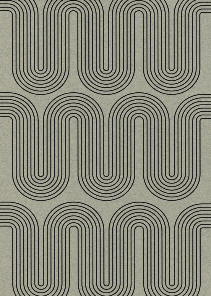 Curved Echoes | Poster
