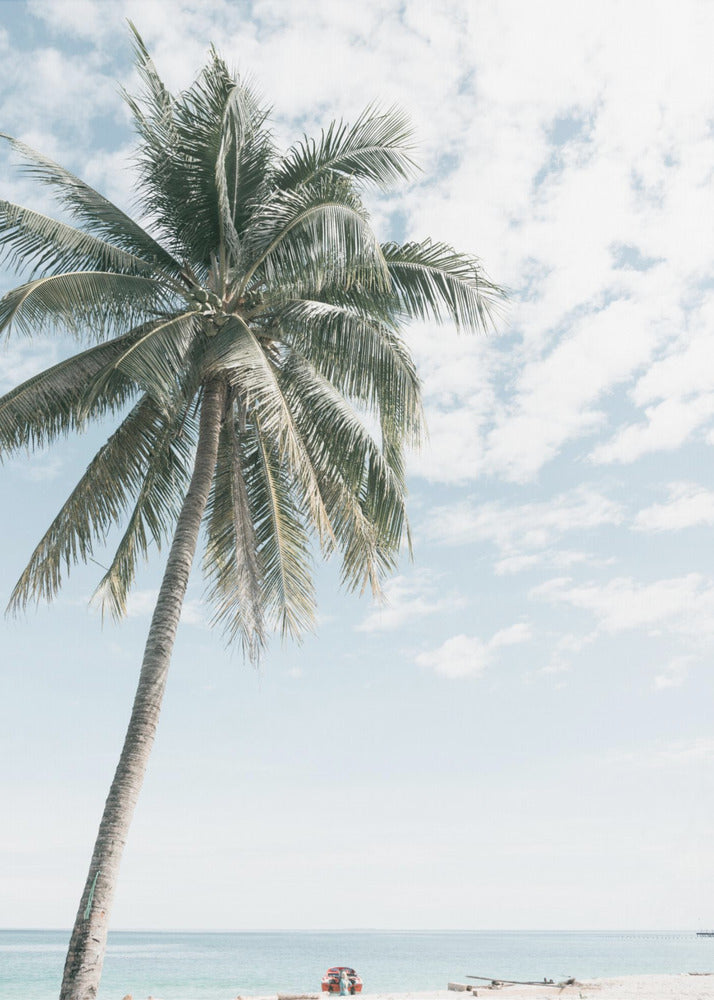 Palm tree at the beach 2 | Poster