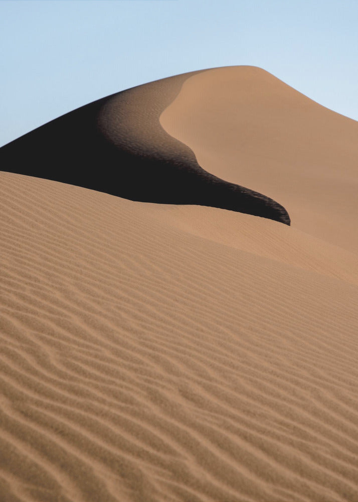 Sand dune In the desert | Poster