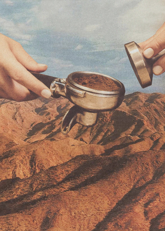 Barista Coffee County | Canvas