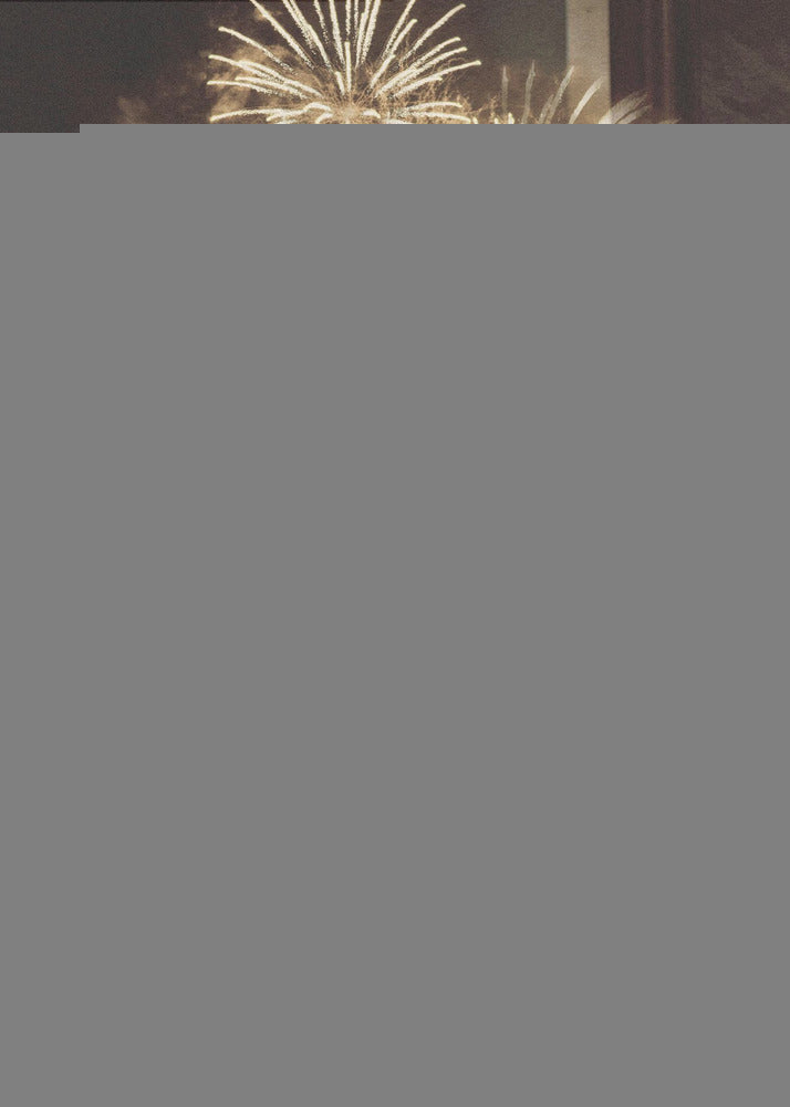 Fireworks Head | Canvas