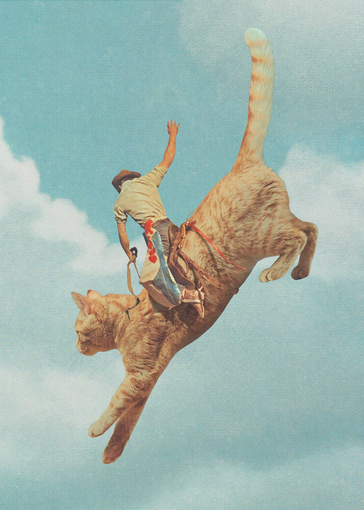 Meehaw   Rodio Cat | Canvas