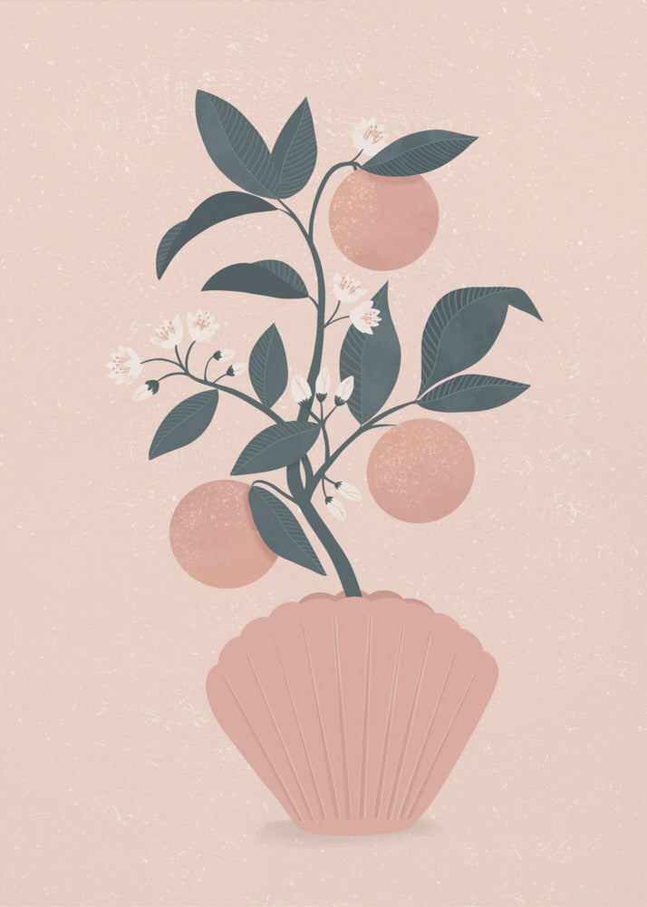 Tangerine Shell | Canvas