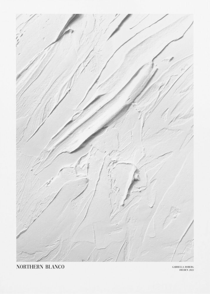 Northern Blanco No.I | Canvas